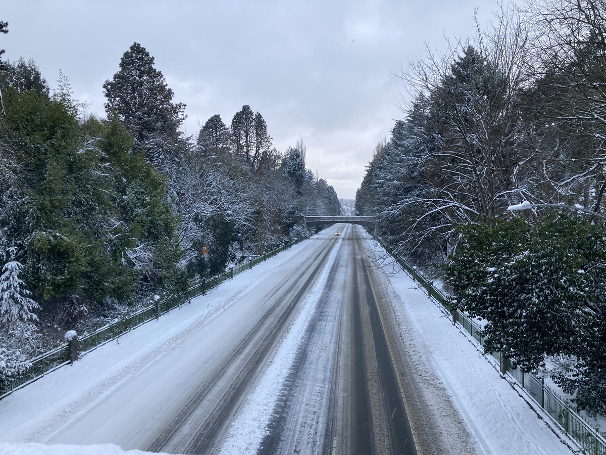 RHTIII's tweet image. Looking north up 99 from the southern most Woodland Park bridge. #wawx #seattlesnow