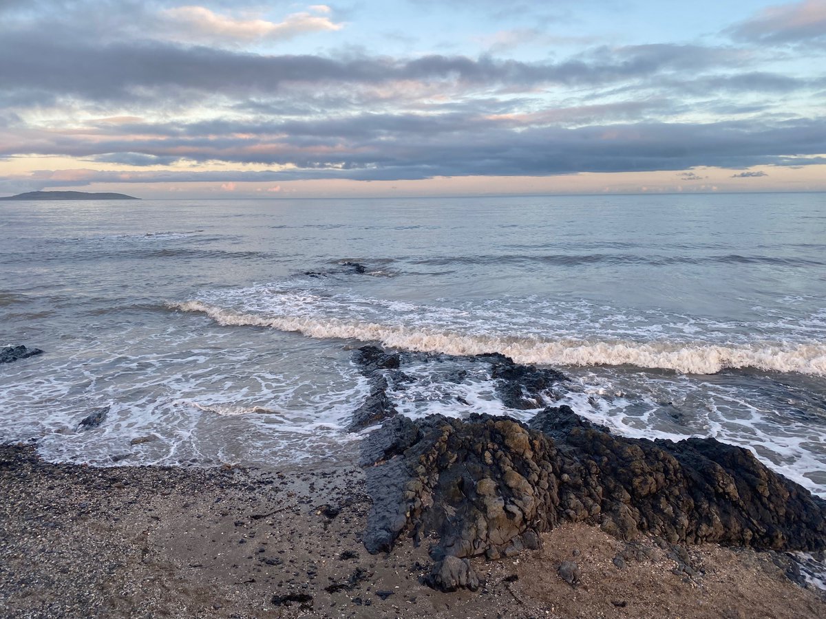 leesonl's tweet photo. Day 360 - a lovely serendipitous walk in Portmarnock with Joanne O'Sullivan &amp; Zuki and a dip in the sea. The Christmas pressie sea gloves &amp; booties got a grand outing ❤️🎄❤️ #RaysMarathonChallenge https://t.co/sdre1EgrZU
