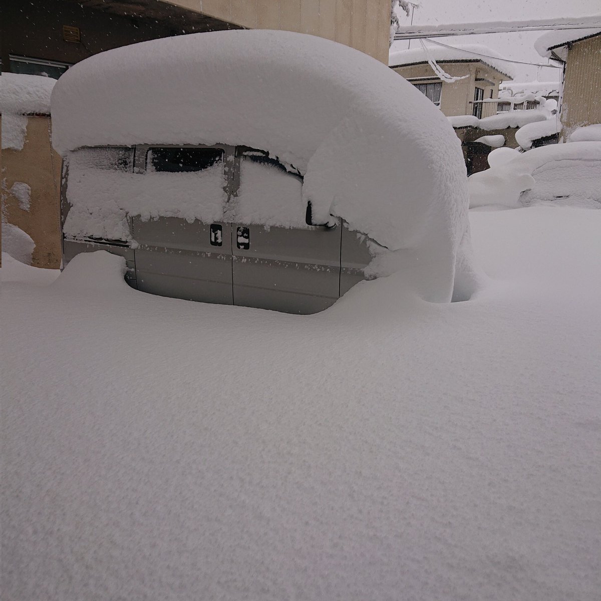 Milk_choco_poco's tweet image. あまりの雪で仕事休みになった。
#彦根