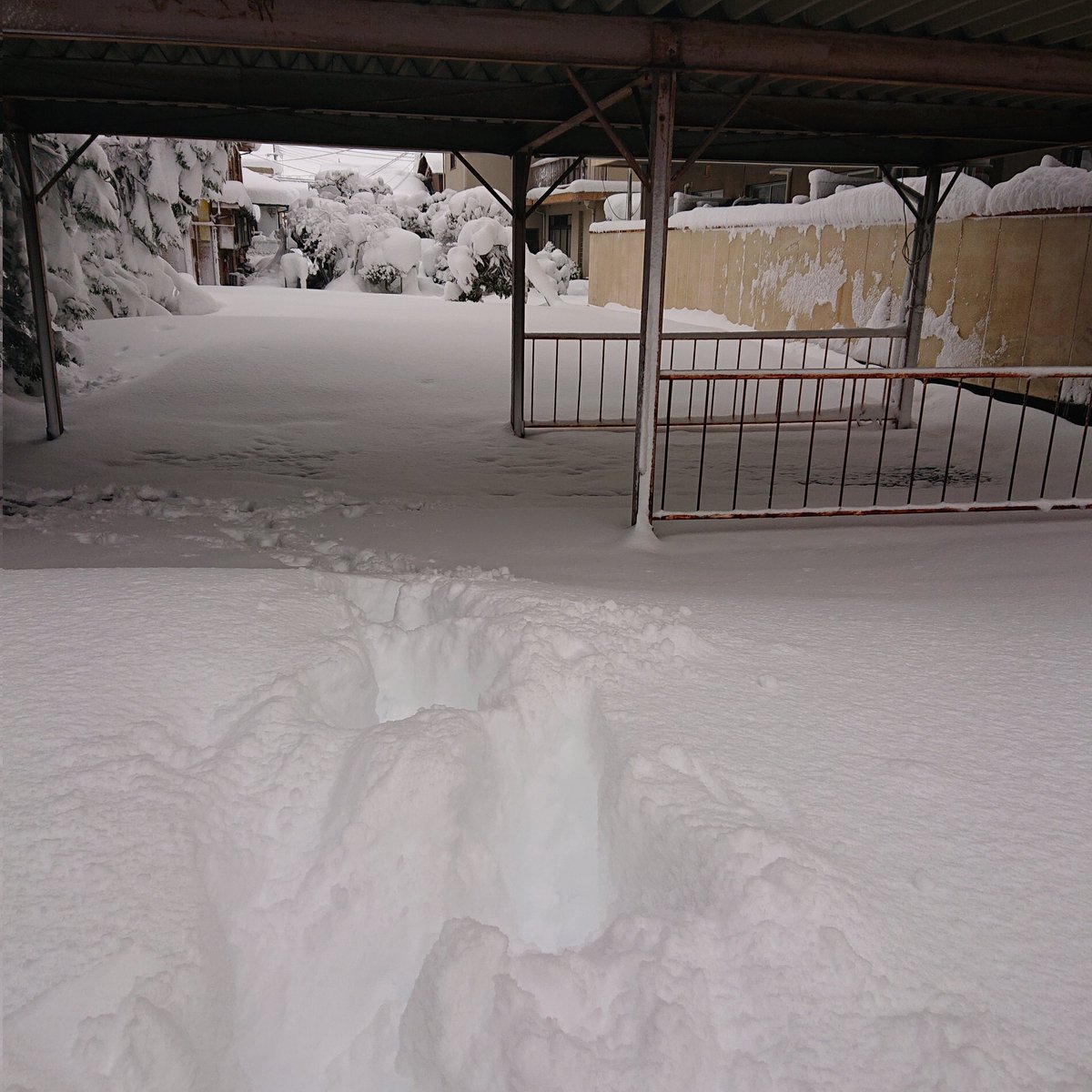 Milk_choco_poco's tweet image. あまりの雪で仕事休みになった。
#彦根