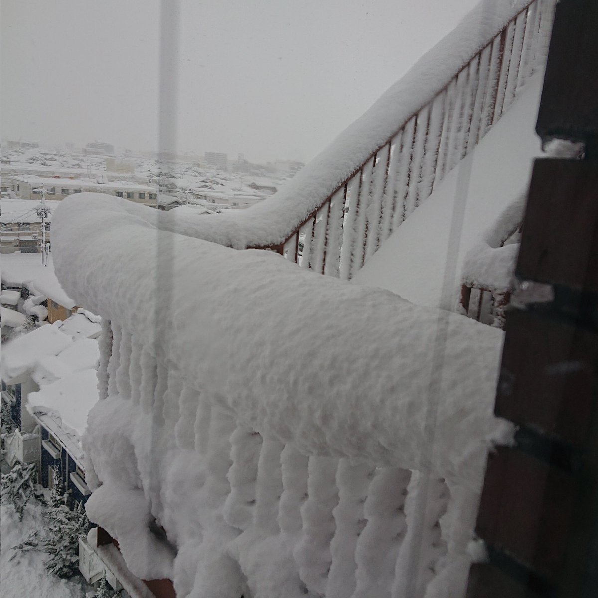 Milk_choco_poco's tweet image. あまりの雪で仕事休みになった。
#彦根