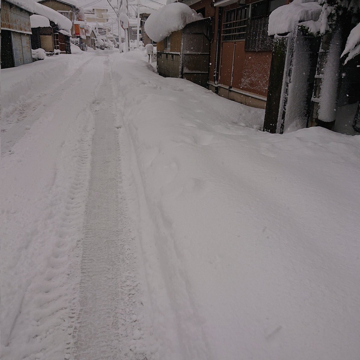 Milk_choco_poco's tweet image. あまりの雪で仕事休みになった。
#彦根