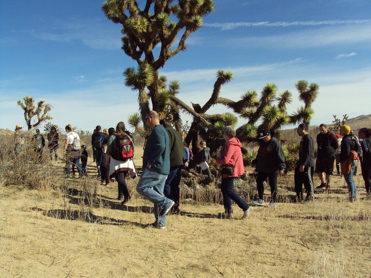 SaddlebackButte tweet media
