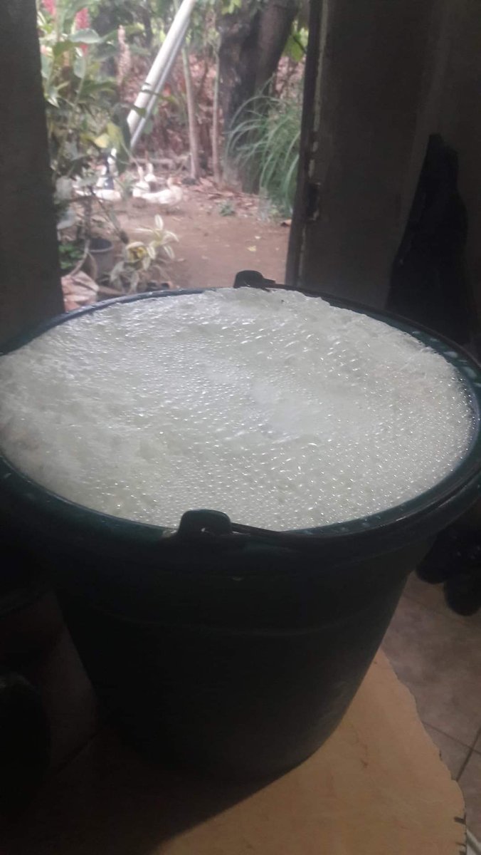 Consume leche del productor a la mesa. Gracias a este Gobierno <a href="/LassoGuillermo/">Guillermo Lasso</a> <a href="/Presidencia_Ec/">Presidencia Ecuador 🇪🇨</a> <a href="/ComunicacionEc/">Comunicación Ecuador 🇪🇨</a> y <a href="/CorteConstEcu/">Corte Constitucional</a> en mejor ir a las ciudades a garantizar <a href="/soberanialimen/">Soberanía Alimentaria</a> . <a href="/Pueblomontuvio/">Pueblo Montubio del Ecuador</a> <a href="/CONAIE_Ecuador/">CONAIE</a> vendamos de casa en casa. La Industria  vende suero y no leche