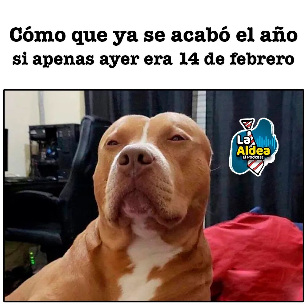 laaldeamedios's tweet photo. Se nos fue el año 😂😂🎧🎙️ https://t.co/WBIMpW386F