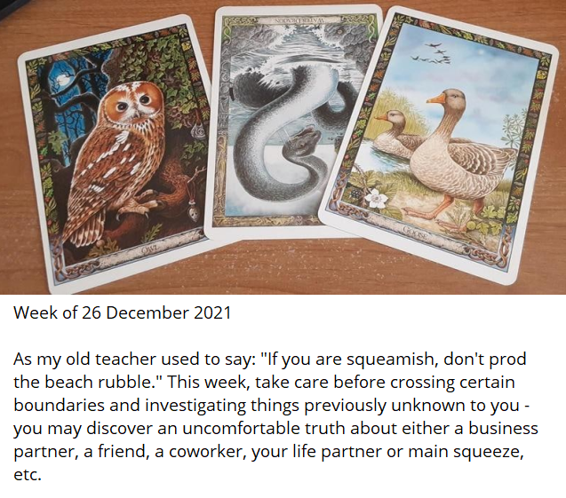 digiginger407's tweet image. #DruidAnimalOracle