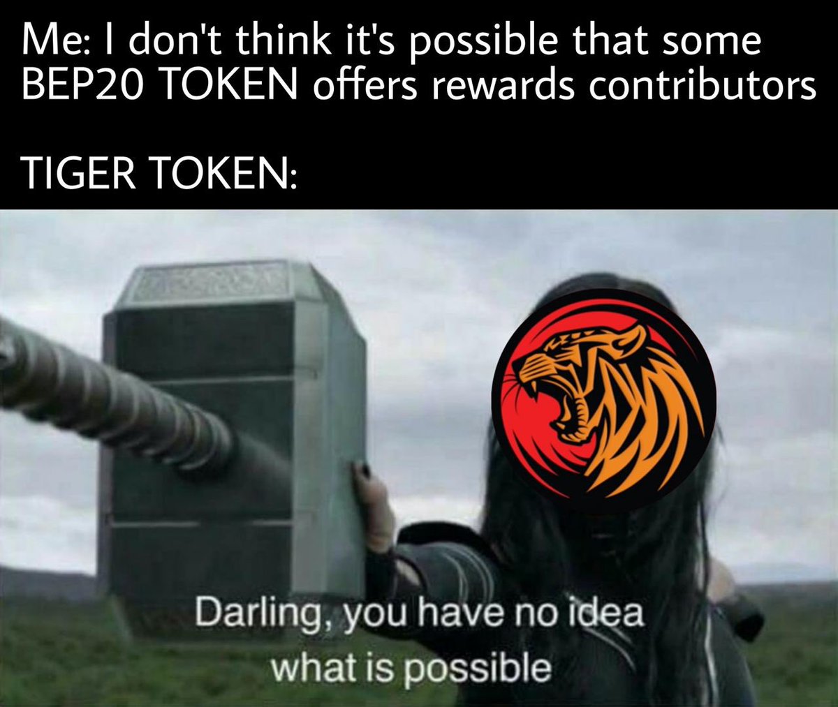 TigerTokenTeam's tweet photo. @DaCryptoGeneral Of course $TGNB 😉 did you know $TigerToken it's the first token that rewards holders with BTC rewards ;) https://t.co/0RuQgqhdQ1