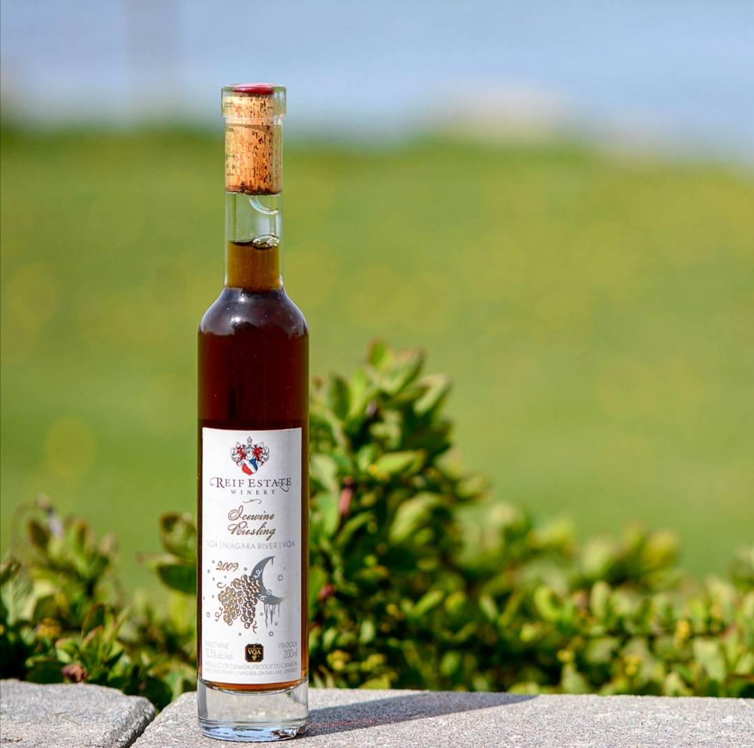 CanoesTo's tweet photo. Day 360 of 365 days of Canadian wine! 
~
Tonight we've opened @reifestatewinery Riesling Icewine 2009
~
Notes of raisin, dried apricot, dried yellow plum and peaches are complimented by balanced acidity and sweetness
~
Do you like icewine?

#365daysofcanadianwine #canadianicewine https://t.co/3e4PzOu8u7