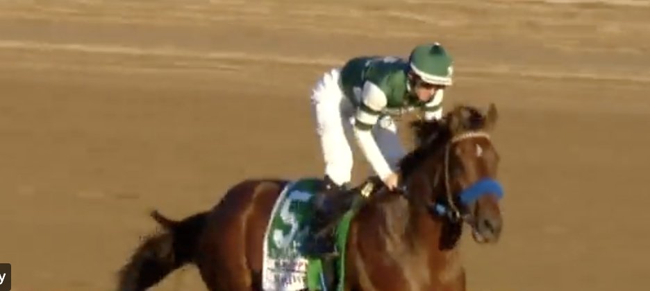 The Racing Onion tweet media