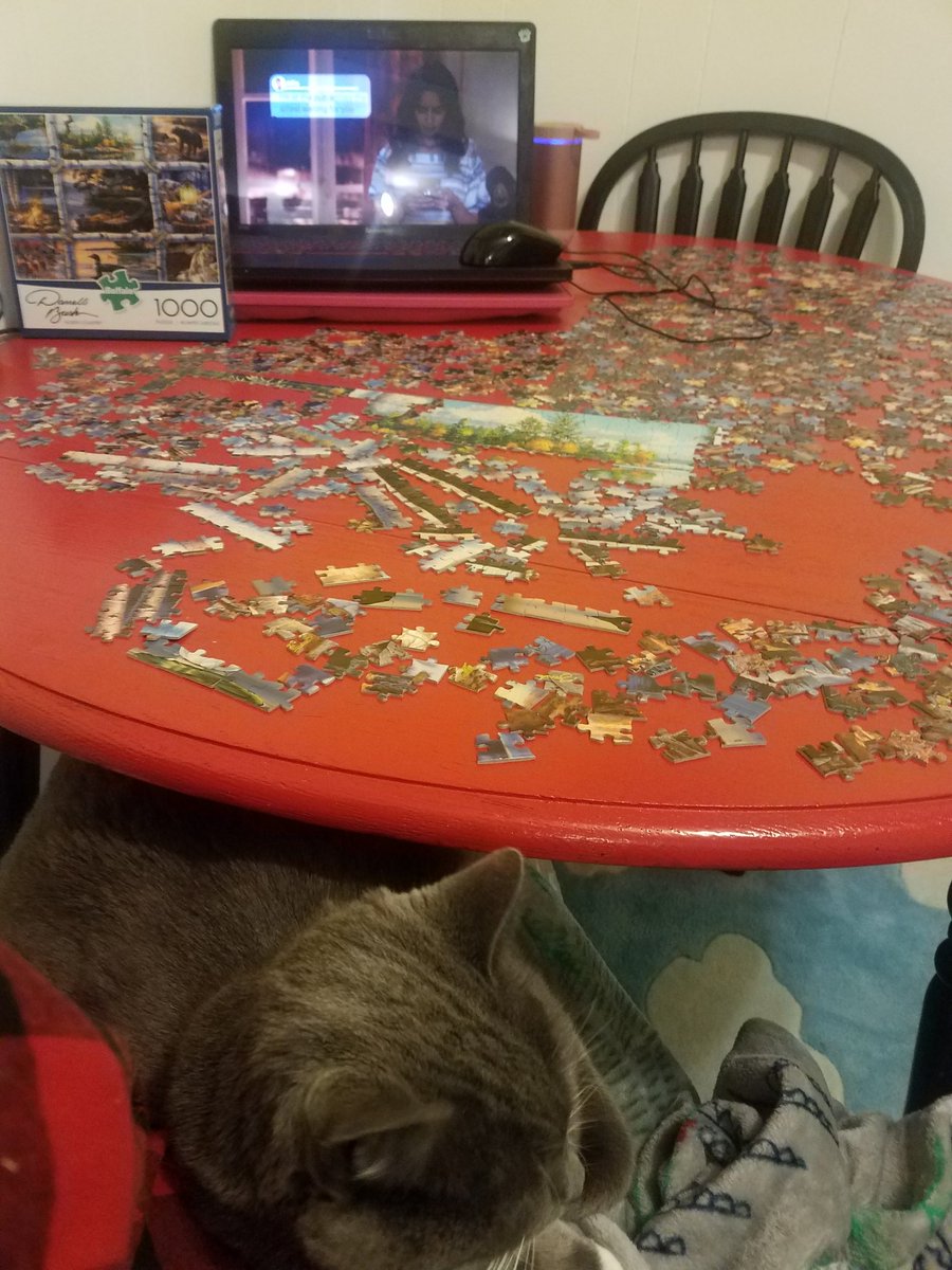 cookiecupcakes's tweet photo. #PuzzleNight #PuzzleProgress https://t.co/k6bsB1pDiQ