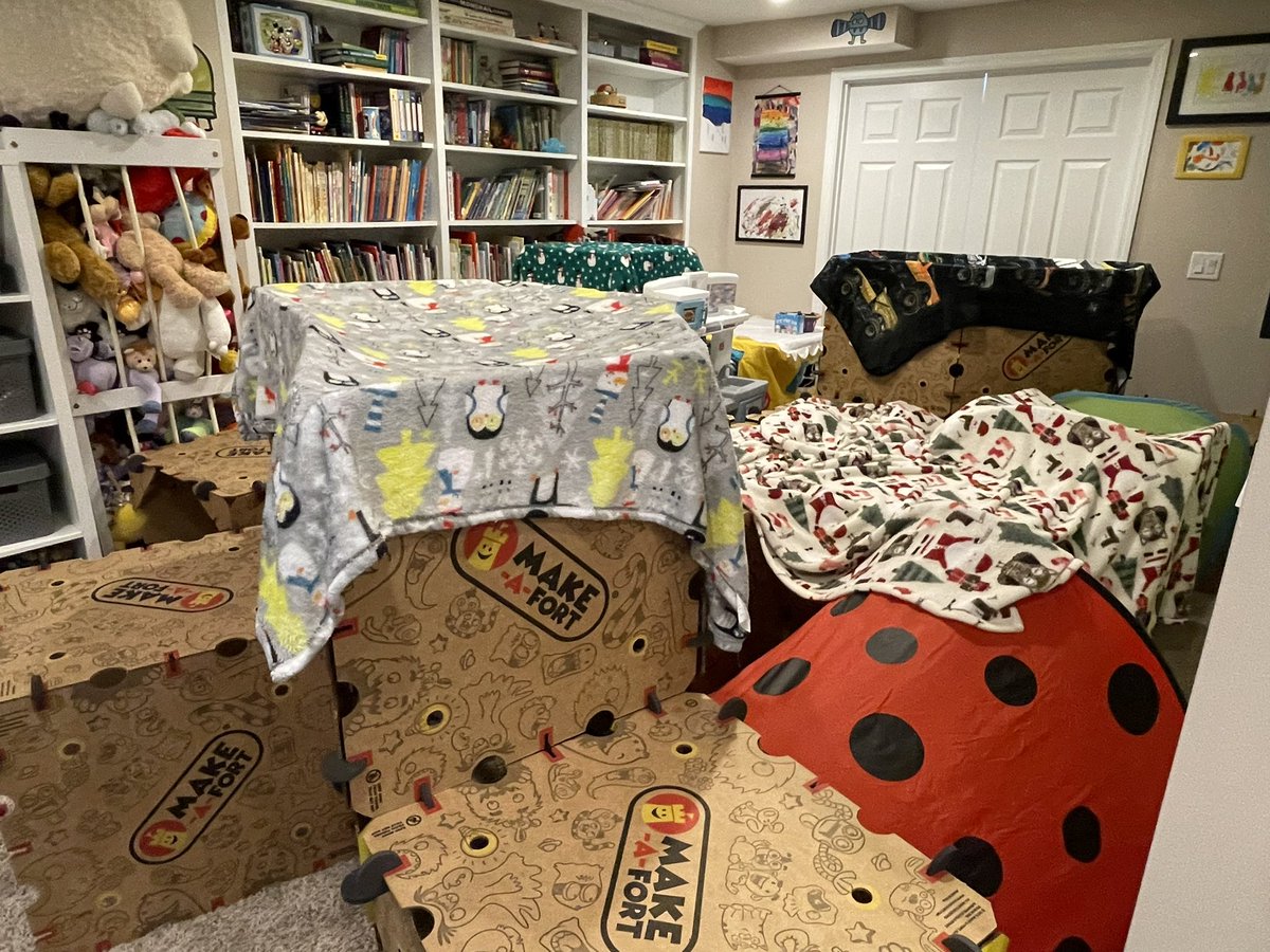 mrsshipwreck's tweet photo. Highly recommend @makeafort #makeafort we’ve had a blast building and it doubles as a cat condo! https://t.co/Q5qq8bRFBB
