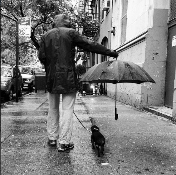 honky_tonk's tweet image. There is an action that is of Love origin.

愛ゆえの行動が存在します。
#love #愛 #tenderness #優しさ
RP @fiorellaschaus