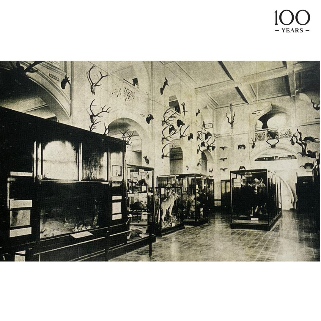 CSMVSmumbai's tweet photo. Looking back at The Museum's Natural History Section in it's developing years in the 1930s. Even back then, The Museum always prioritised attention to detail, the museum experience and preserving the sanctity of museum objects.
#CSMVS100 #CSMVSMumbai #100yearsofhistory https://t.co/gZaw2IT8nI