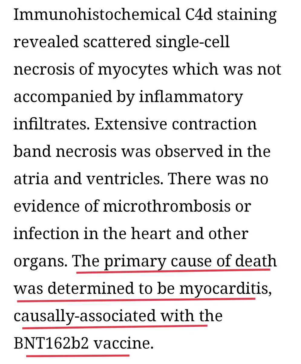 د محمود سعد حجي Dr Mahmoud Saad Hegy tweet media