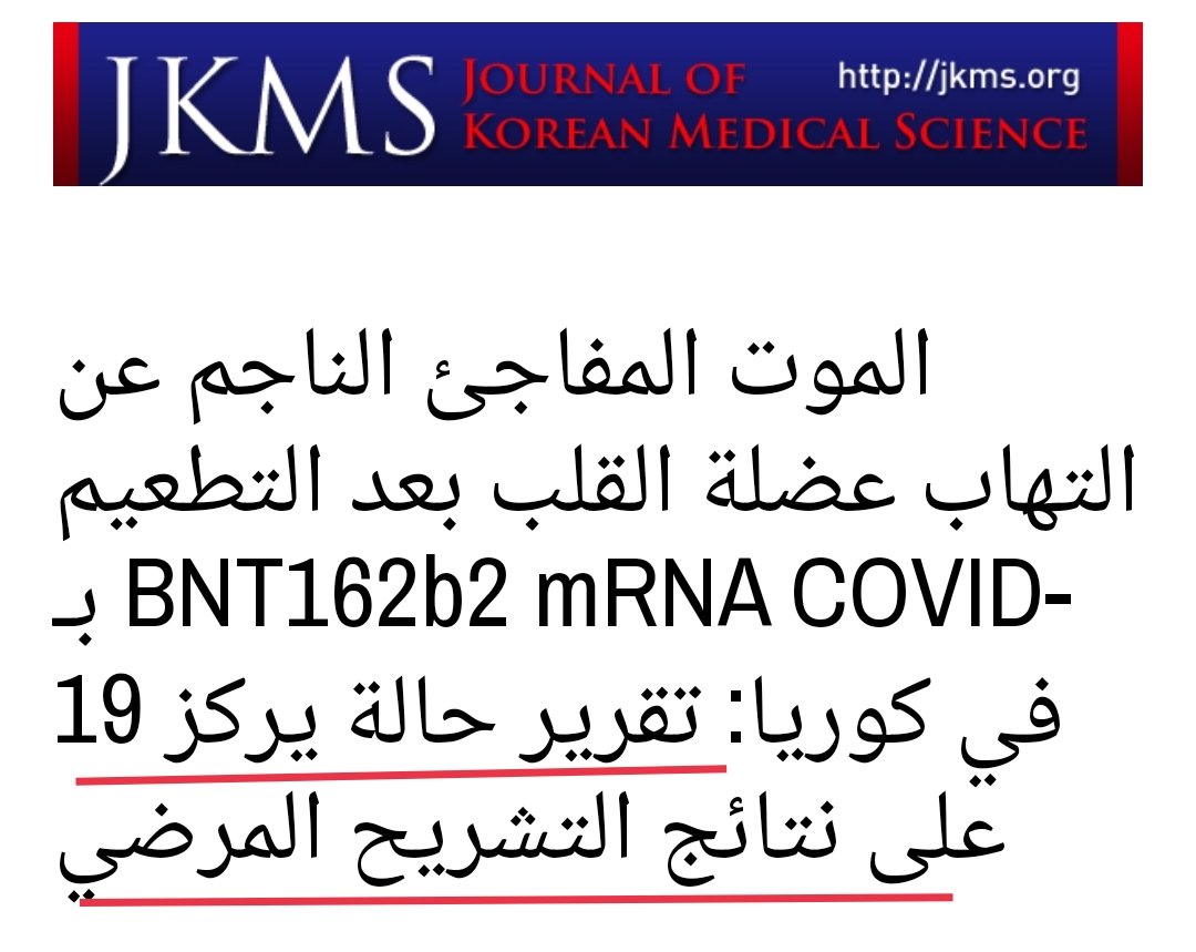 د محمود سعد حجي Dr Mahmoud Saad Hegy tweet media