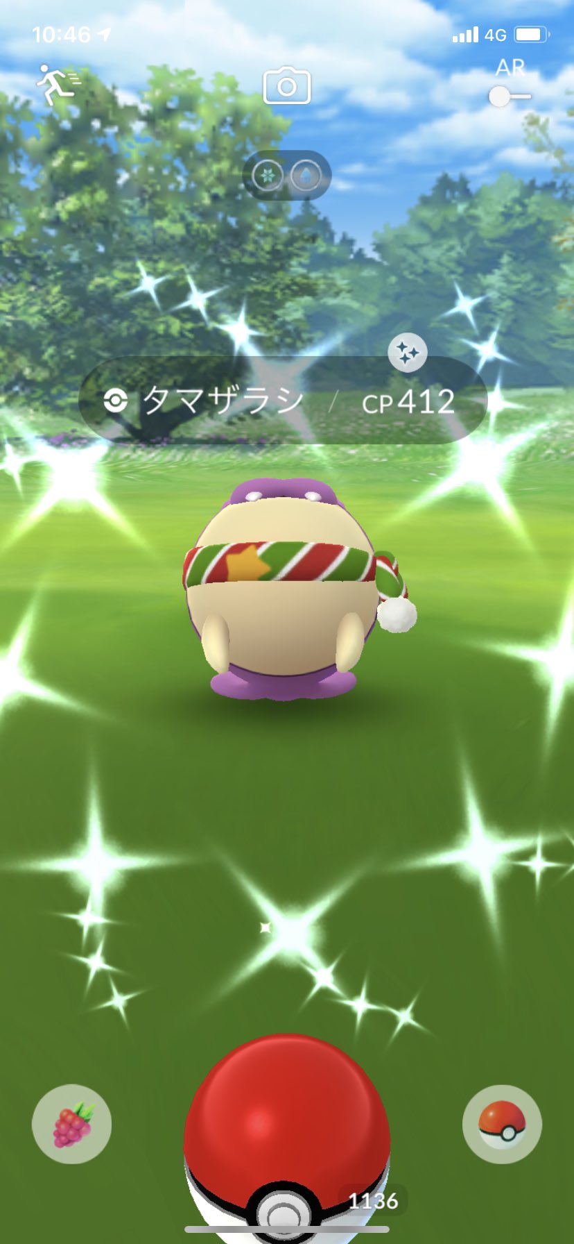 にじゅうまる やりました クリスマス限定色違いコンプできた ポケモンgo 色違い 色違いポケモン タマザラシ T Co Fyaknxpwlv Twitter