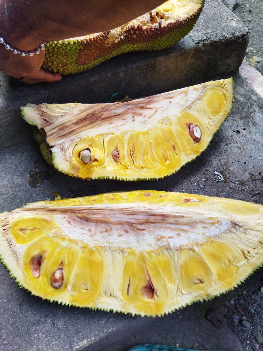 Sentania Clare 🖤 tweet media