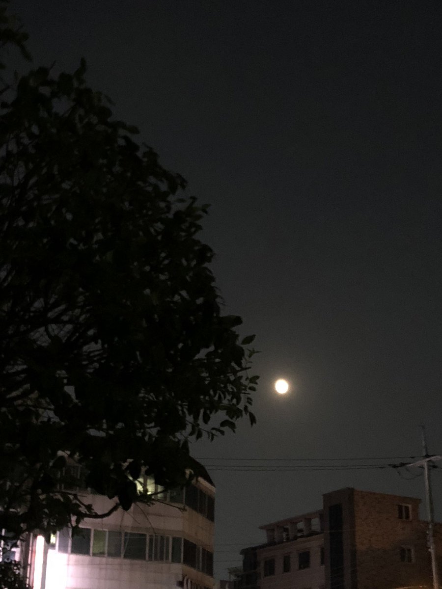 crami_h's tweet photo. 저 아직도 스파이더맨 안봤는데
보러 갈 사람,,
이왕이면 마운틴듀 파는 롯데시네마로,,
#섹트 #대구 https://t.co/6gwuaEa8V1