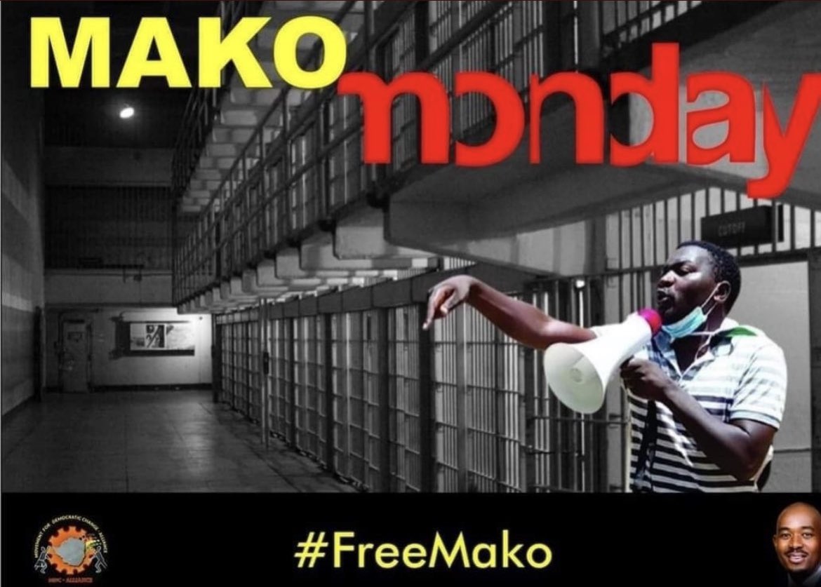 Makomborero Haruzivishe spent Christmas behind bars yet he is innocent. He speaks truth to power and campaigns tirelessly for a free Zimbabwe. The regime is afraid of what he represents. It is not a crime to stand with the poor and demand a better society. 

#FreeMako #MakoMonday