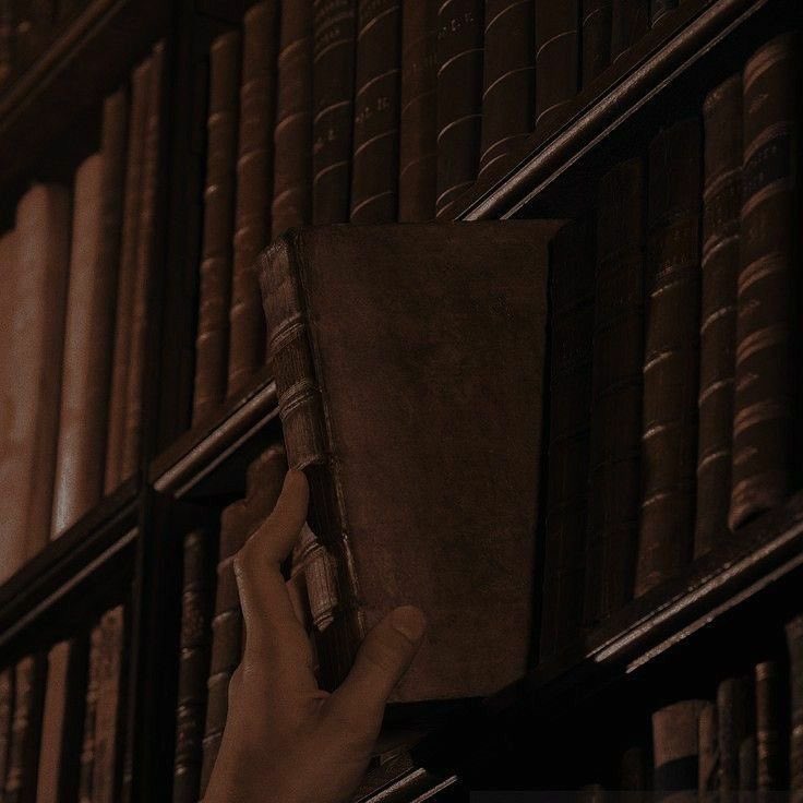 dreadshits's tweet photo. ㅤㅤㅤㅤ
ㅤㅤㅤㅤ
ㅤㅤㅤㅤ⠀⠀ 𝐁𝐫𝐨𝐰𝐧 𝐦𝐞𝐥𝐨𝐝𝐲。
ㅤㅤㅤㅤ
ㅤㅤㅤㅤ https://t.co/9wCGX9UWbp