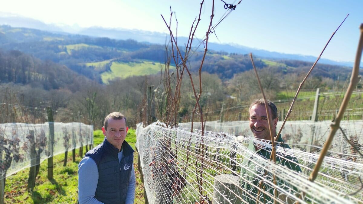 Le Parisien tweet media