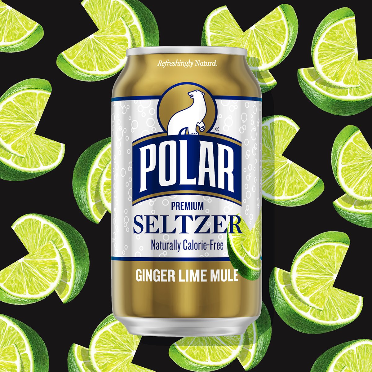 Dark winter nights thirst for the cold fiery snap of Ginger Lime Mule. Drink it in.

#GingerLimeMule #PolarSeltzer #Seltzer #SparklingWater #WinterDrinks #Mocktails #Holidays #Entertaining