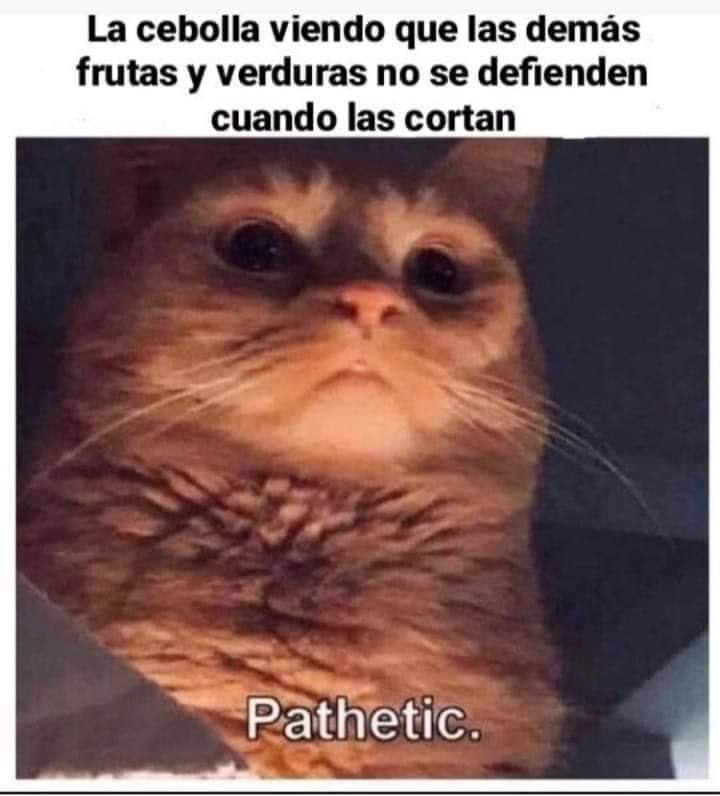 ErigolDelViento's tweet photo. https://t.co/EIao1lJndX