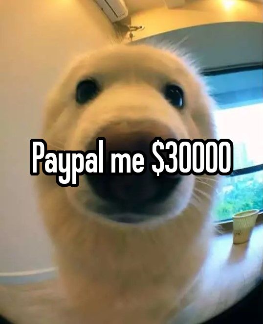 wukko (@uwukko) on Twitter photo 