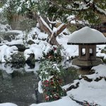 創業1300年 粟津温泉 法師のツイート画像