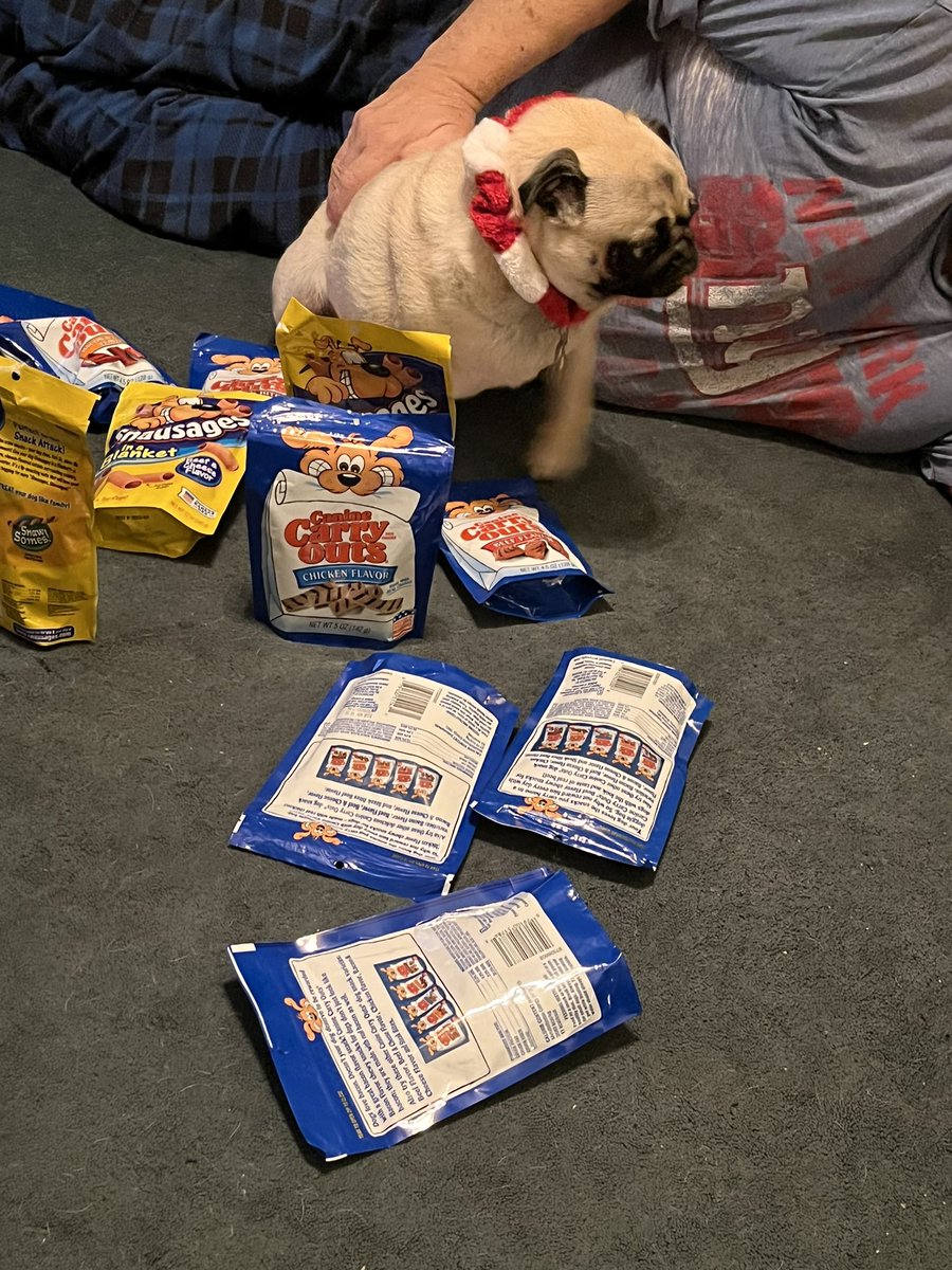 Pug dog George🌈 Bill & Rose tweet media