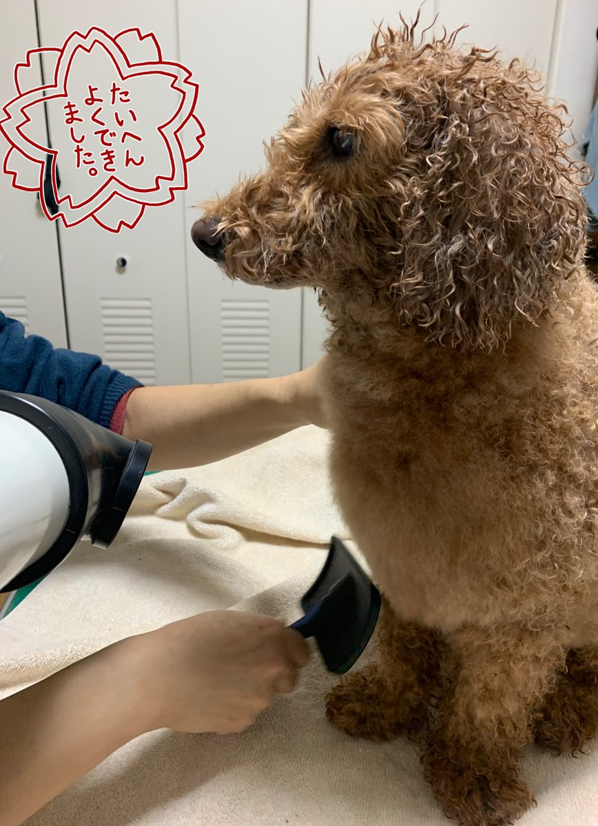 兄くんもお風呂入りました🛁 