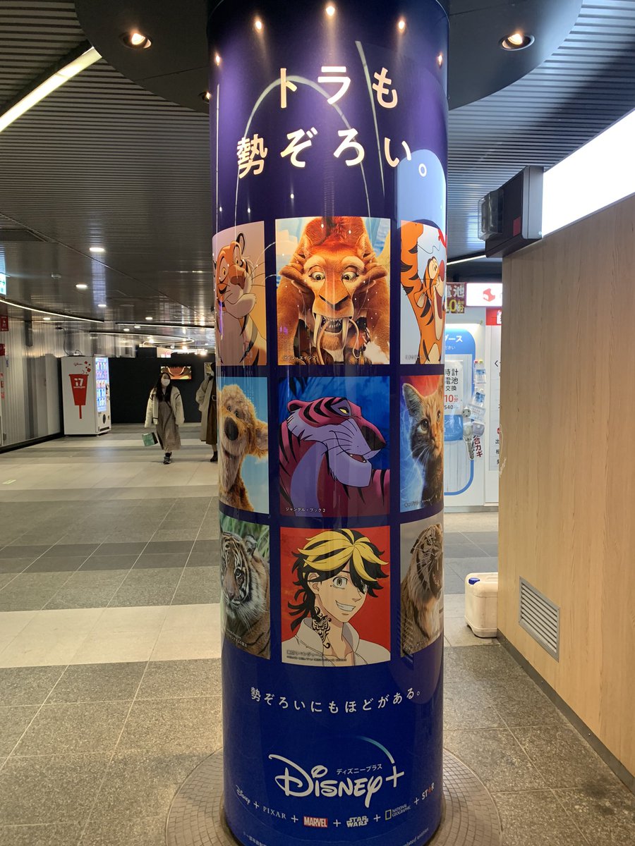 11_tbr's tweet photo. トラに分類されてるの笑える、確かに虎だけども🐯 https://t.co/96hVn99poj