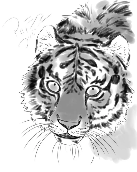 🐯 