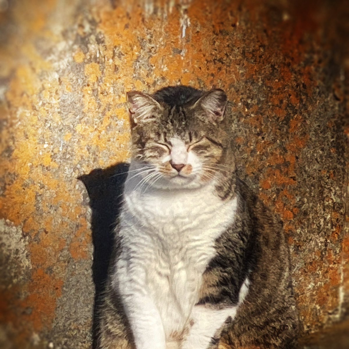 😾おはようございます