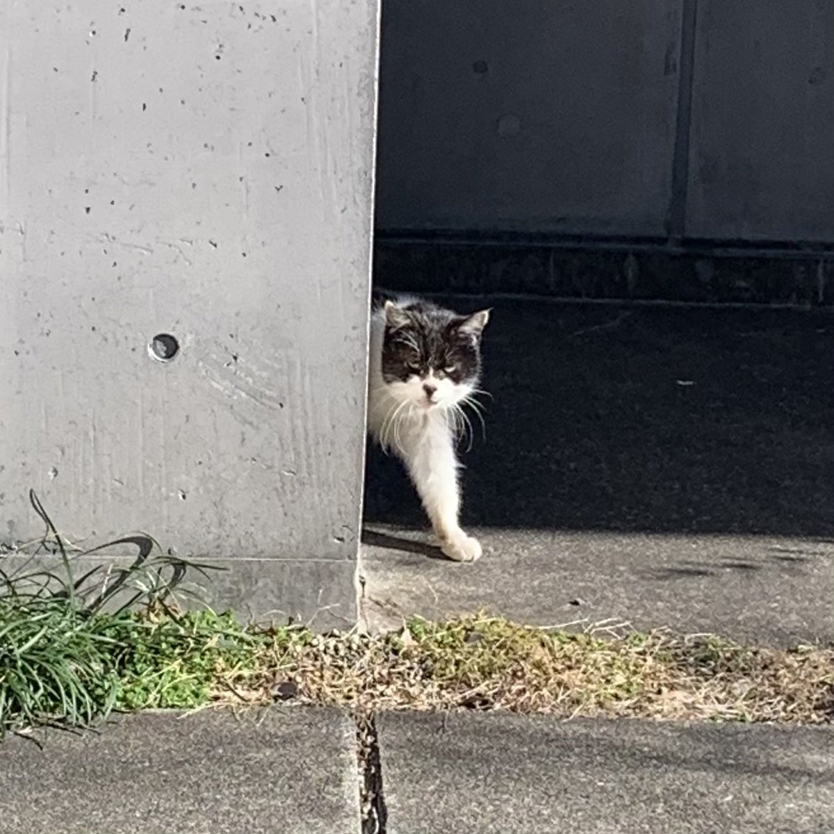 顔 