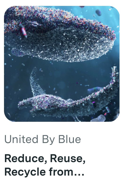 United By Blue tweet media