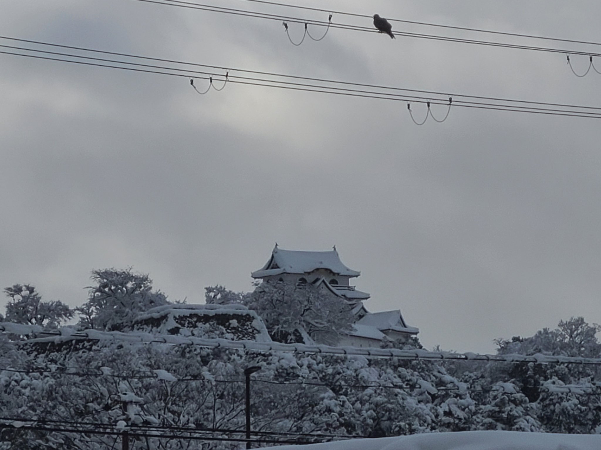 Skalsoda 彦根大雪 彦根城https T Co P6imethrhb Twitter