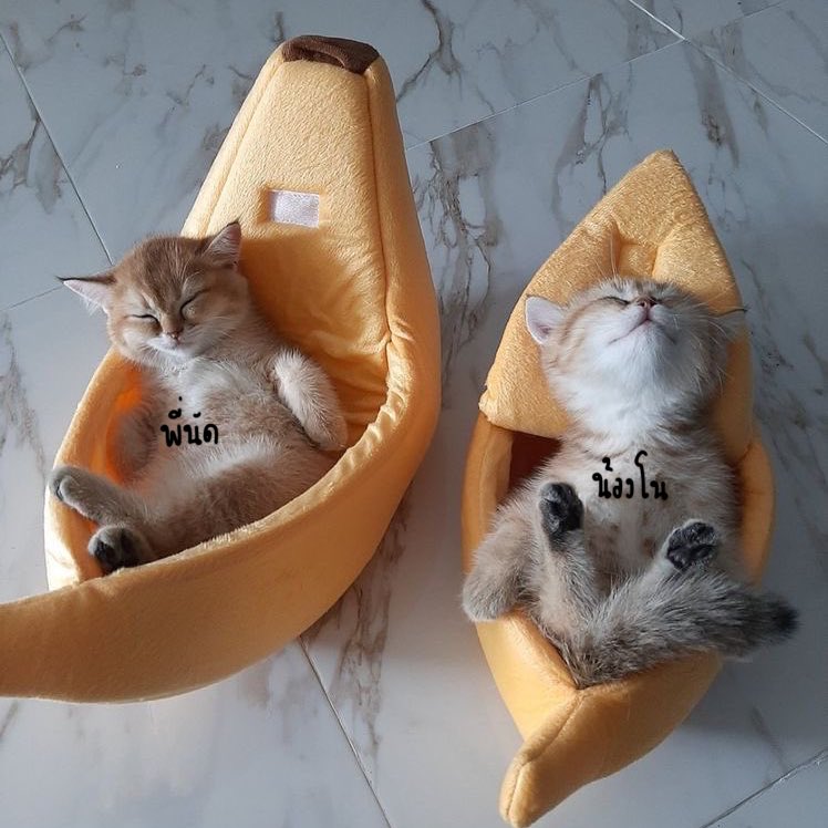 พี่นัดเค้งๆ @ON3THUG