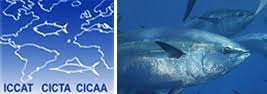 #ICCAT -International Commission for the Conservation of Atlantic Tunas is an inter-governmental fishery organization responsible for the conservation of tunas and tuna-like species in the Atlantic Ocean and its adjacent seas.
primescholarslibrary.org/advances-fishe…