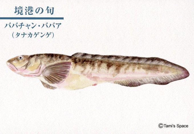タナカゲンゲのtwitterイラスト検索結果 タナカゲンゲのtwitterイラスト検索結果