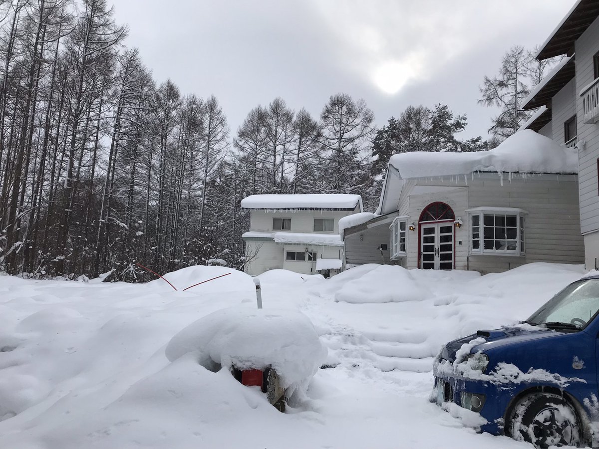 shhakuba's tweet photo. 一晩でまた積もりましたね

さてとりあえず雪掻きだぁ
※現在除雪機不調につき手作業… https://t.co/VISffCbEbH
