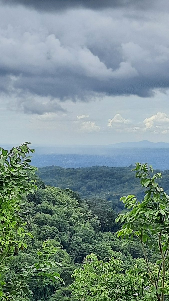 Yogyakarta 

Kadang tiba2 panas, eh tiba2 hujan🤭
