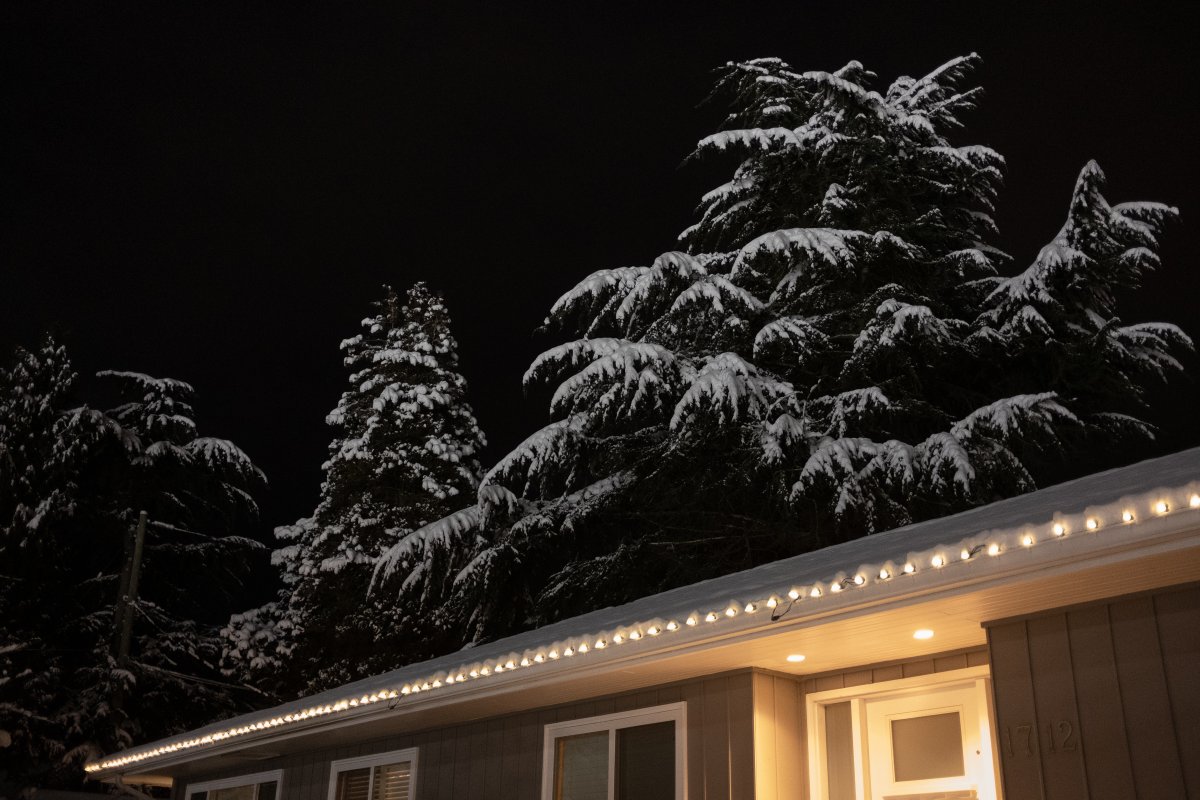 A frigid winter walk in #NorthVan. Blowing snow. Snow falling on cedars. And a niche for a candle on a city roundabout.