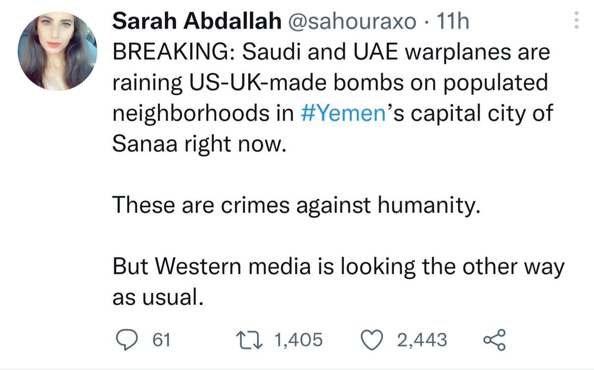 YonaZ tweet media