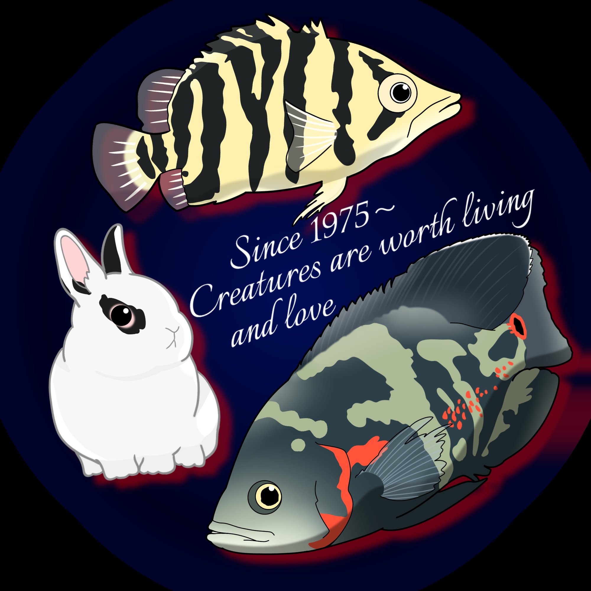 お魚イラスト Twitter Search Twitter