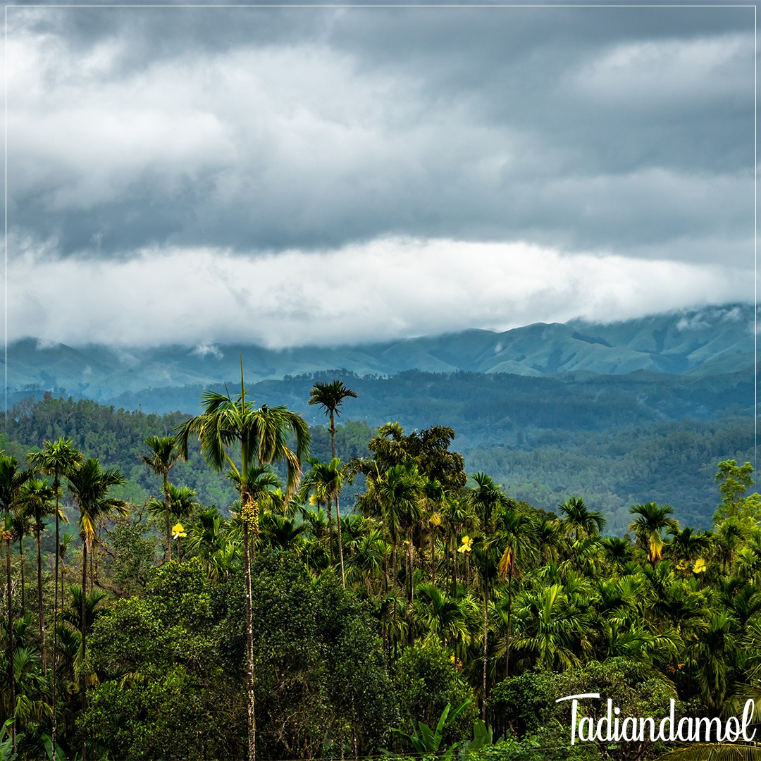 KarnatakaWorld's tweet photo. To know more visit: https://t.co/mBphkt4b1A

#NammaKarnataka #Tourism #KarnatakaDiaries #TravelKarnataka #Travel #Traveldiaries #Travelgram #explorekarnataka 

@incredibleindia
@tourismgoi 
@kishanreddybjp
@AnandSinghBS https://t.co/wX05YhoanN