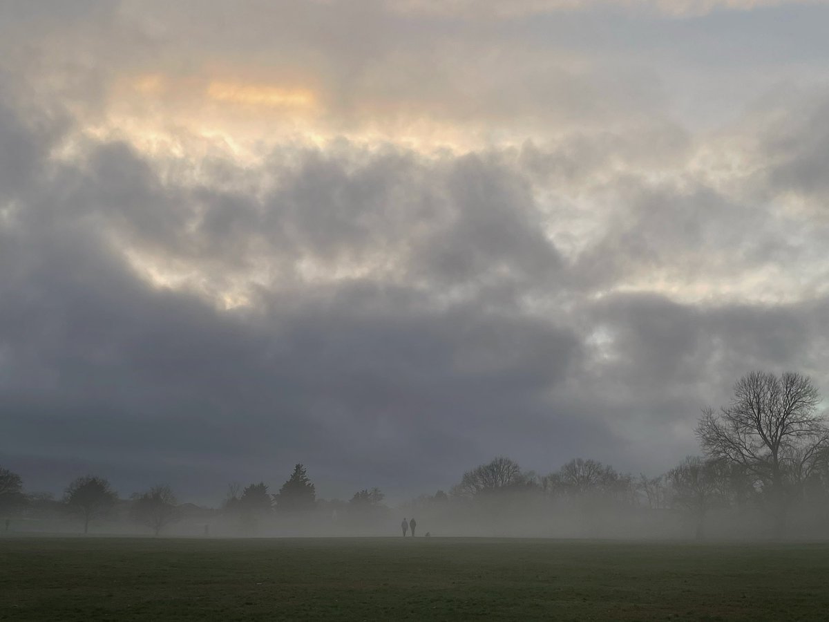 Lovely Boxing Day walk in Beckenham Place Park. #mist #misty
