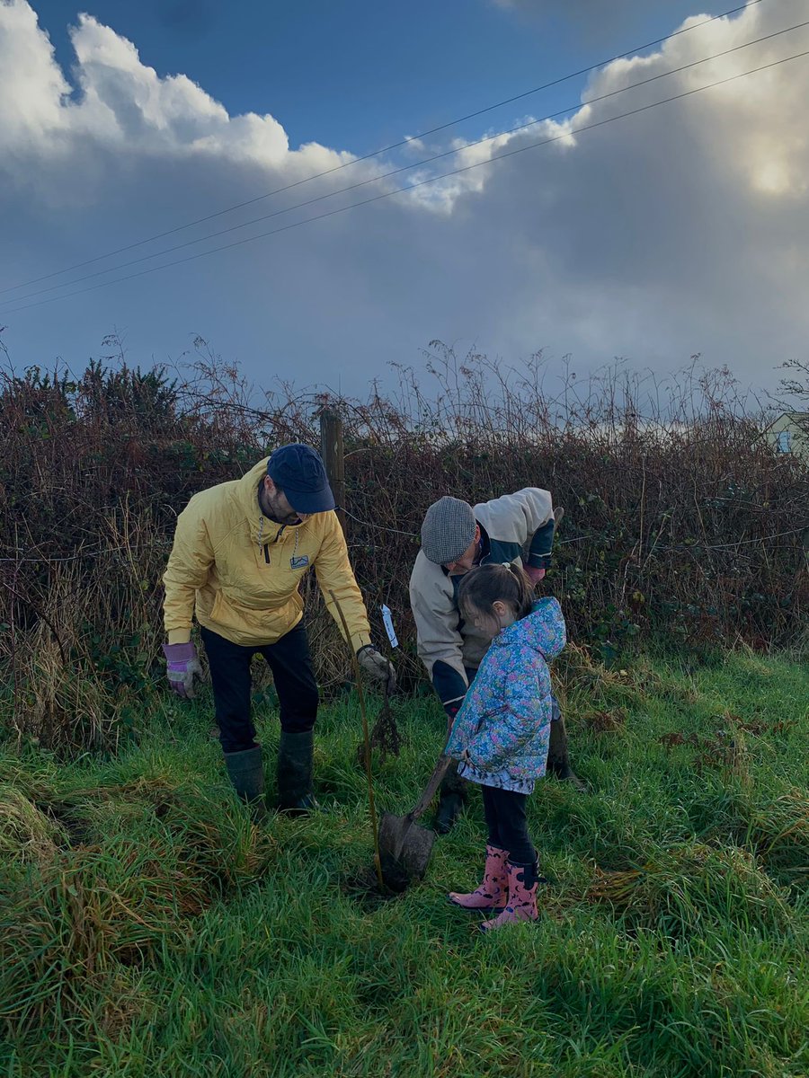 GwynWatson's tweet photo. A tree is not just a gift for Xmas it’s a gift for life 🌳 💜 #restor #generationrestoration https://t.co/GYVPHURaqA