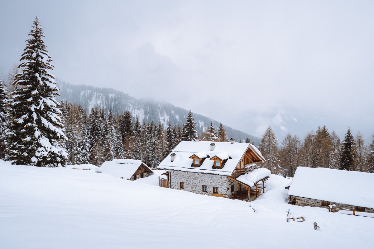 Val di Sole Trentino tweet media