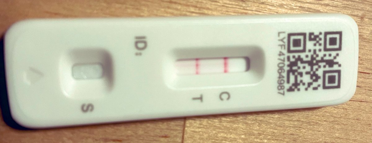 Well, there it is. Today, with the “wrong” (i.e. cold) symptoms and after a string of negative LFTs, I finally took Twitter advice and swabbed my throat as well as my nose (no mean feat with that diddly stick). If you think you might have COVID, consider adding the throat sample